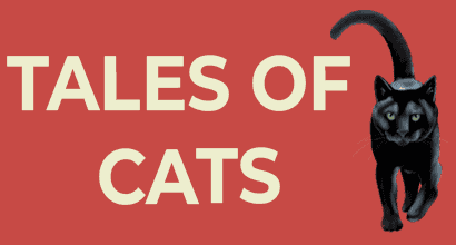 tales-of-cats-banner-image